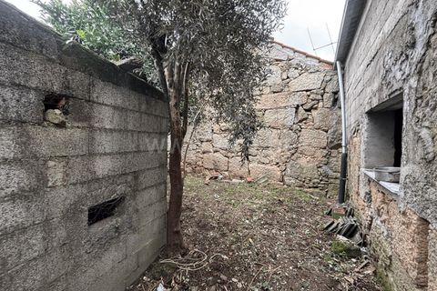 Villa i Mangualde, Viseu, Mangualde - € 65.000 | Ref: 389250041 - foto 7