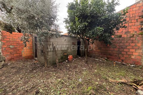 Villa i Mangualde, Viseu, Mangualde - € 65.000 | Ref: 389250041 - foto 8