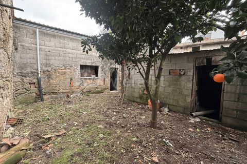 Villa i Mangualde, Viseu, Mangualde - € 65.000 | Ref: 389250041 - foto 9