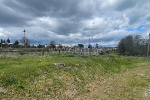 Helårsgrund i Nelas, Viseu, Nelas - € 62.500 | Ref: 389250069 - foto 2