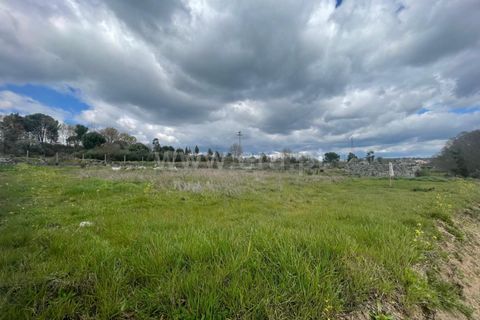 Helårsgrund i Nelas, Viseu, Nelas - € 62.500 | Ref: 389250069 - foto 4