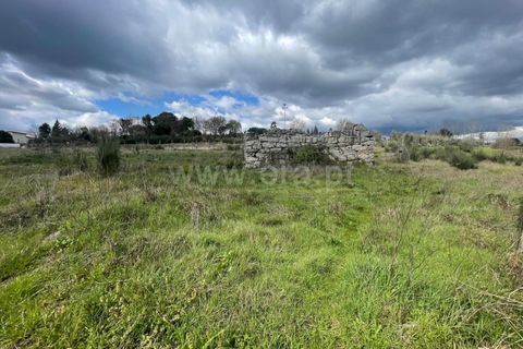 Helårsgrund i Nelas, Viseu, Nelas - € 62.500 | Ref: 389250069 - foto 6