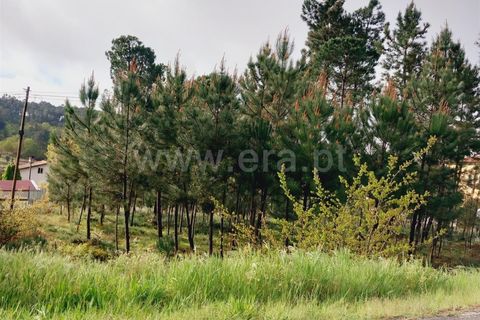 Helårsgrund i Viseu, Viseu, Viseu - € 38.000 | Ref: 389240044 - foto 2
