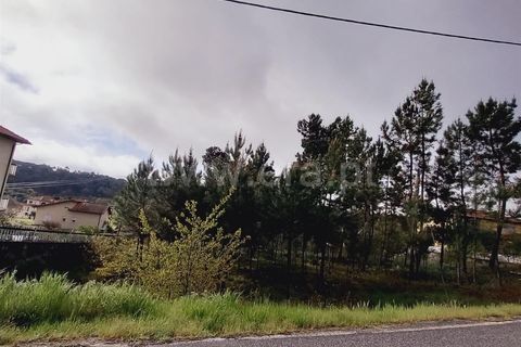 Helårsgrund i Viseu, Viseu, Viseu - € 38.000 | Ref: 389240044 - foto 3