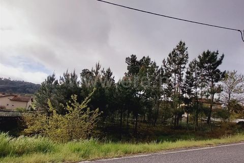 Helårsgrund i Viseu, Viseu, Viseu - € 38.000 | Ref: 389240044 - foto 4