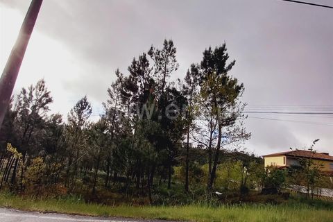 Helårsgrund i Viseu, Viseu, Viseu - € 38.000 | Ref: 389240044 - foto 7
