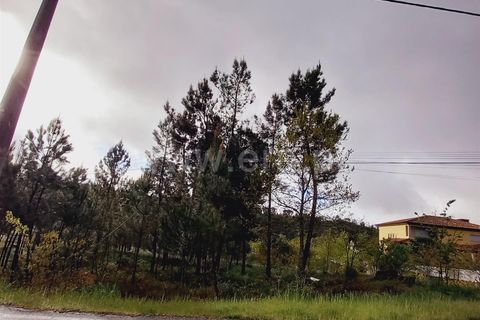 Helårsgrund i Viseu, Viseu, Viseu - € 38.000 | Ref: 389240044 - foto 8