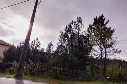 Helårsgrund i Viseu, Viseu, Viseu - € 38.000 | Ref: 389240044 - foto 9