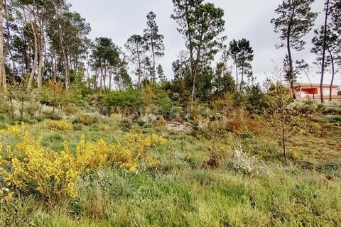 Helårsgrund i Viseu, Viseu, Viseu - € 38.000 | Ref: 389240043 - foto 9