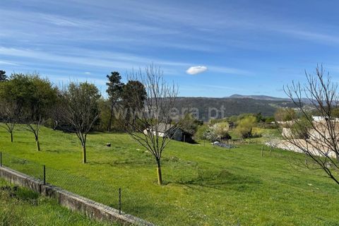 Helårsgrund i Castro Daire, Viseu, Castro Daire - € 550.000 | Ref: 389250082 - foto 1