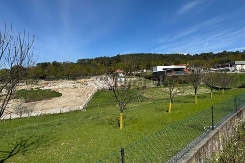 Helårsgrund i Castro Daire, Viseu, Castro Daire - € 550.000 | Ref: 389250082 - foto 9