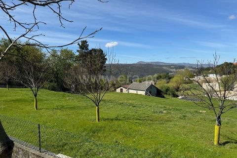 Helårsgrund i Castro Daire, Viseu, Castro Daire - € 550.000 | Ref: 389250082 - foto 11