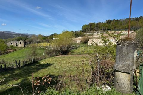 Helårsgrund i Castro Daire, Viseu, Castro Daire - € 550.000 | Ref: 389250082 - foto 12