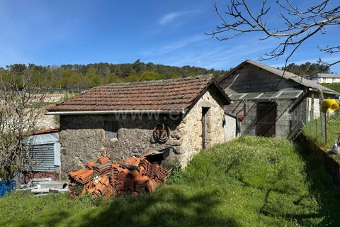 Helårsgrund i Castro Daire, Viseu, Castro Daire - € 550.000 | Ref: 389250082 - foto 13