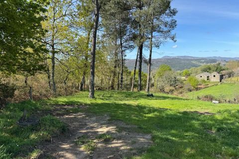 Helårsgrund i Castro Daire, Viseu, Castro Daire - € 550.000 | Ref: 389250082 - foto 14