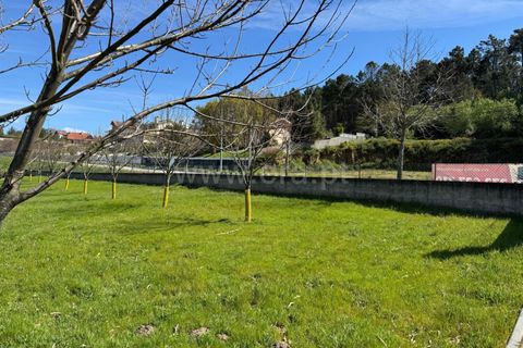 Helårsgrund i Castro Daire, Viseu, Castro Daire - € 550.000 | Ref: 389250082 - foto 20