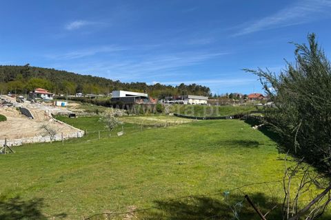 Helårsgrund i Castro Daire, Viseu, Castro Daire - € 550.000 | Ref: 389250082 - foto 21