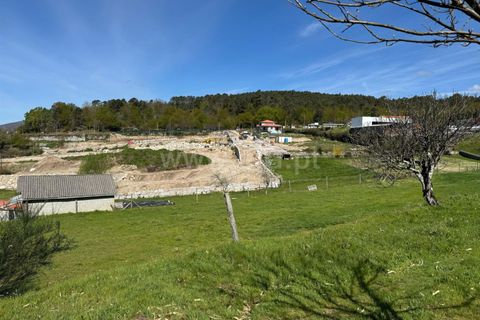 Helårsgrund i Castro Daire, Viseu, Castro Daire - € 550.000 | Ref: 389250082 - foto 22
