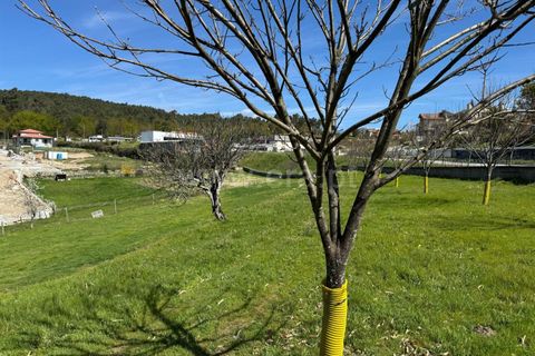 Helårsgrund i Castro Daire, Viseu, Castro Daire - € 550.000 | Ref: 389250082 - foto 25