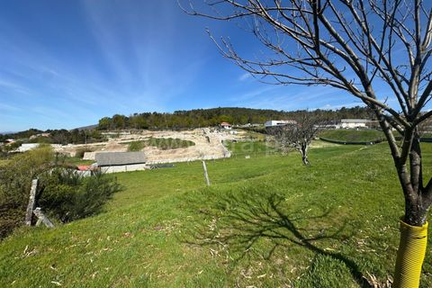Helårsgrund i Castro Daire, Viseu, Castro Daire - € 550.000 | Ref: 389250082 - foto 30