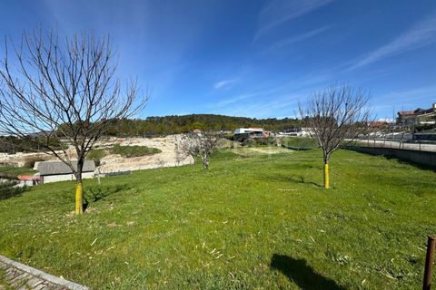 Helårsgrund i Castro Daire, Viseu, Castro Daire - € 550.000 | Ref: 389250082 - foto 31
