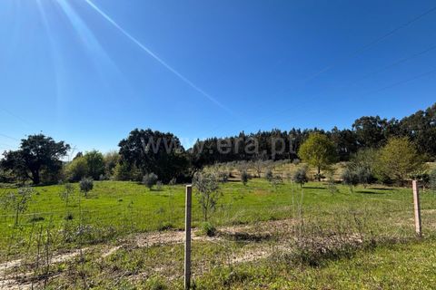 Erhvervsejendom i Tabua, Coimbra, Tabua - € 87.000 | Ref: 389250138 - foto 1