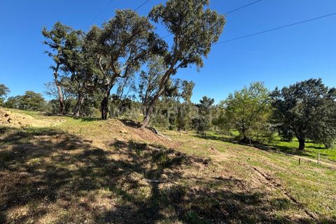 Erhvervsejendom i Tabua, Coimbra, Tabua - € 87.000 | Ref: 389250138 - foto 2