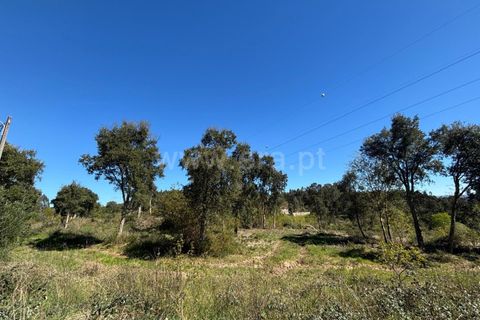 Erhvervsejendom i Tabua, Coimbra, Tabua - € 87.000 | Ref: 389250138 - foto 3