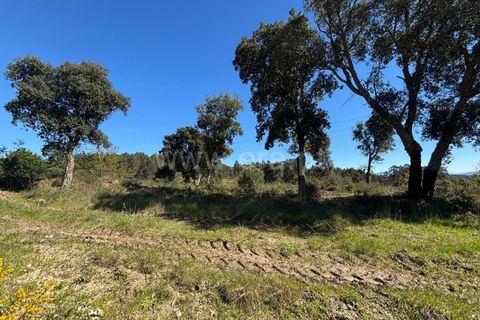 Erhvervsejendom i Tabua, Coimbra, Tabua - € 87.000 | Ref: 389250138 - foto 4