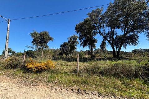 Erhvervsejendom i Tabua, Coimbra, Tabua - € 87.000 | Ref: 389250138 - foto 5