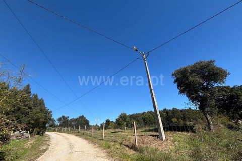 Erhvervsejendom i Tabua, Coimbra, Tabua - € 87.000 | Ref: 389250138 - foto 6