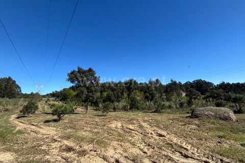 Erhvervsejendom i Tabua, Coimbra, Tabua - € 87.000 | Ref: 389250138 - foto 7