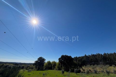 Erhvervsejendom i Tabua, Coimbra, Tabua - € 87.000 | Ref: 389250138 - foto 8