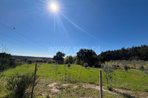 Erhvervsejendom i Tabua, Coimbra, Tabua - € 87.000 | Ref: 389250138 - foto 9
