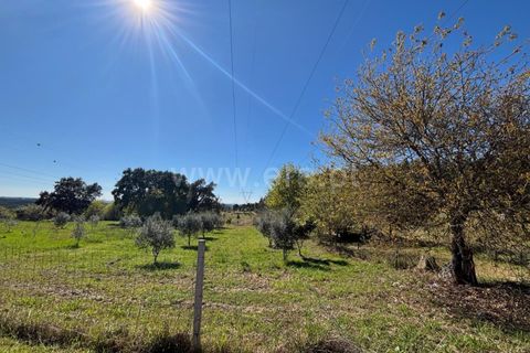 Erhvervsejendom i Tabua, Coimbra, Tabua - € 87.000 | Ref: 389250138 - foto 10