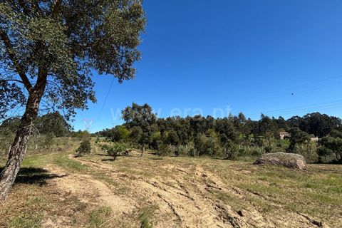 Erhvervsejendom i Tabua, Coimbra, Tabua - € 87.000 | Ref: 389250138 - foto 11