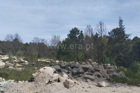 Helårsgrund i Mangualde, Viseu, Mangualde - € 128.000 | Ref: 389250090 - foto 2