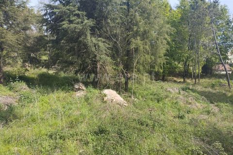 Helårsgrund i Mangualde, Viseu, Mangualde - € 128.000 | Ref: 389250090 - foto 4