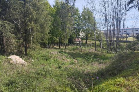 Helårsgrund i Mangualde, Viseu, Mangualde - € 128.000 | Ref: 389250090 - foto 5
