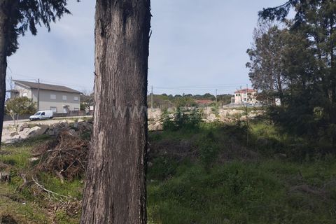 Helårsgrund i Mangualde, Viseu, Mangualde - € 128.000 | Ref: 389250090 - foto 6