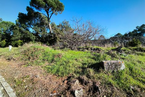 Helårsgrund i Mangualde, Viseu, Mangualde - € 87.000 | Ref: 389240197 - foto 2