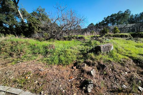 Helårsgrund i Mangualde, Viseu, Mangualde - € 87.000 | Ref: 389240197 - foto 3