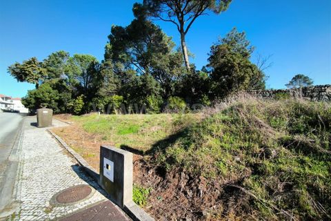 Helårsgrund i Mangualde, Viseu, Mangualde - € 87.000 | Ref: 389240197 - foto 5