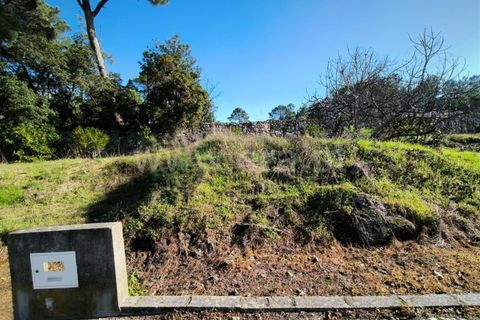Helårsgrund i Mangualde, Viseu, Mangualde - € 87.000 | Ref: 389240197 - foto 6