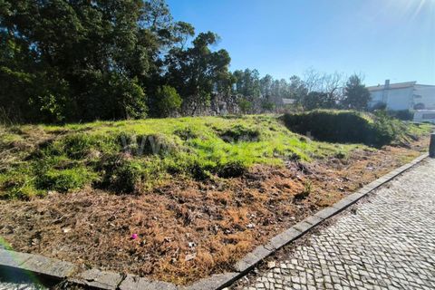 Helårsgrund i Mangualde, Viseu, Mangualde - € 87.000 | Ref: 389240197 - foto 7
