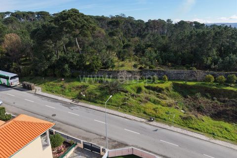 Helårsgrund i Mangualde, Viseu, Mangualde - € 87.000 | Ref: 389240197 - foto 1