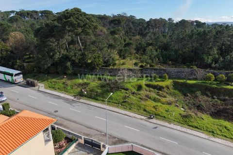 Helårsgrund i Mangualde, Viseu, Mangualde - € 87.000 | Ref: 389240197 - foto 8