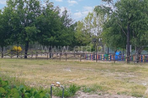 Helårsgrund i Mangualde, Viseu, Mangualde - € 22.000 | Ref: 389250100 - foto 4