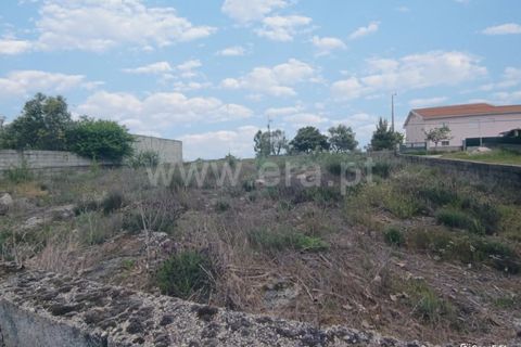 Helårsgrund i Mangualde, Viseu, Mangualde - € 22.000 | Ref: 389250100 - foto 5
