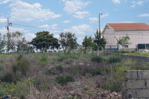 Helårsgrund i Mangualde, Viseu, Mangualde - € 22.000 | Ref: 389250100 - foto 7